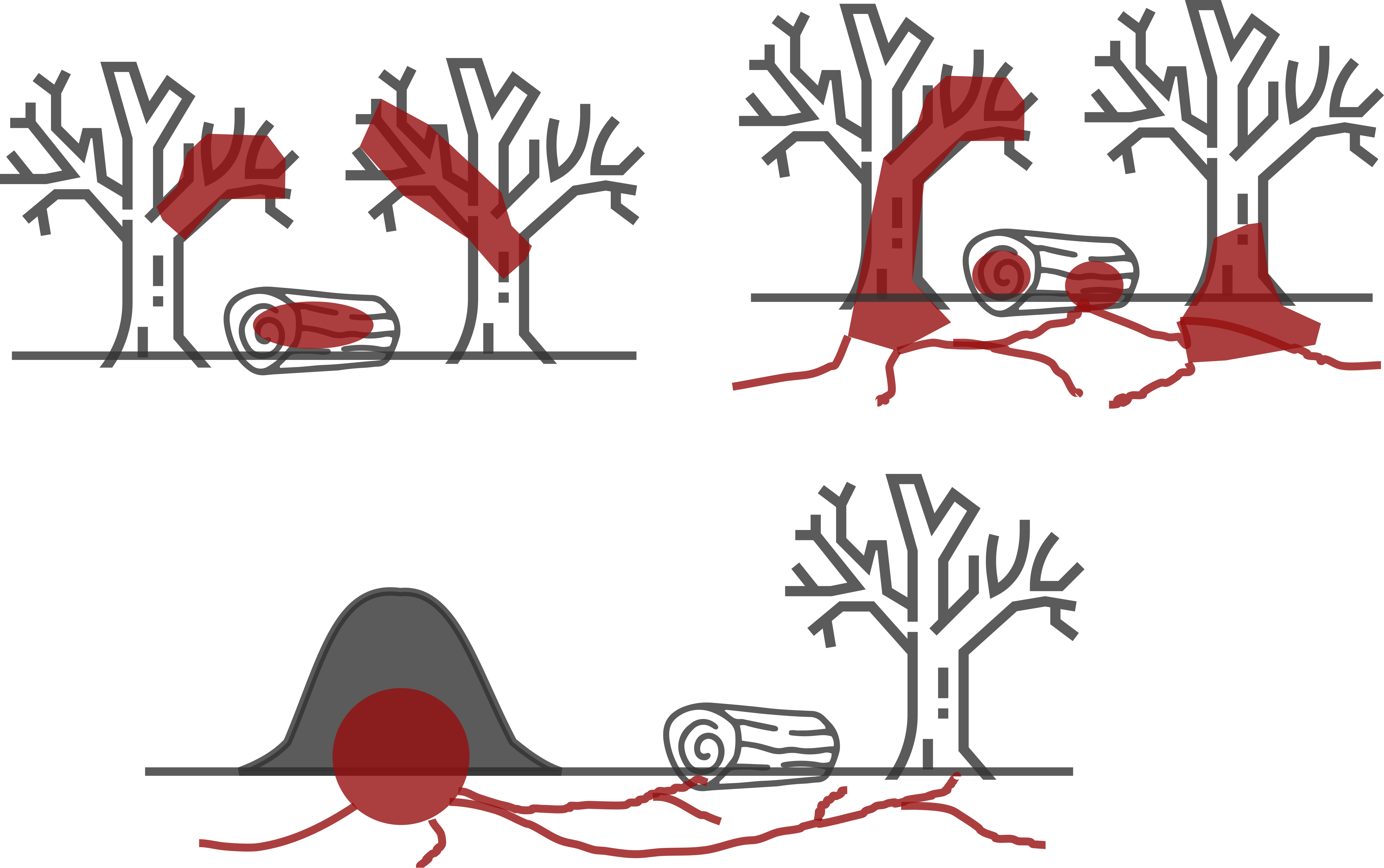 Diagram comparing major termite nesting and foraging strategies