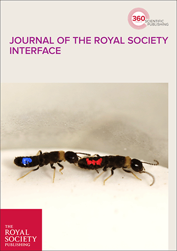 Maintaining tandem movement cohesion through antennal movements in termites
