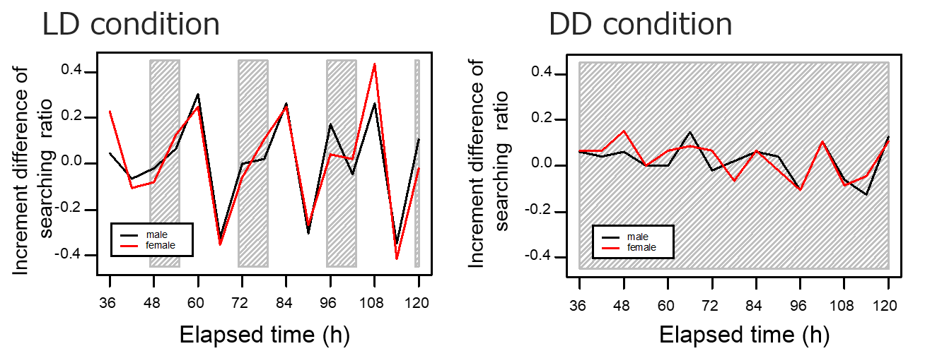 Termite activity under LD and darkness.